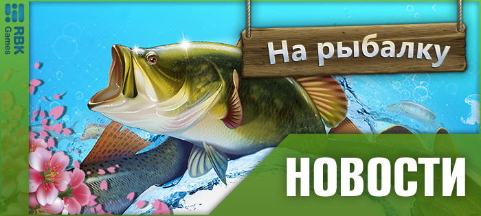 Выиграйте чемпионский кубок!