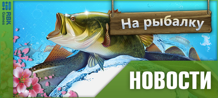 Готовьтесь к чемпионату!