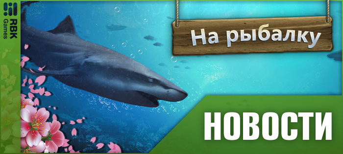 Новое испытание