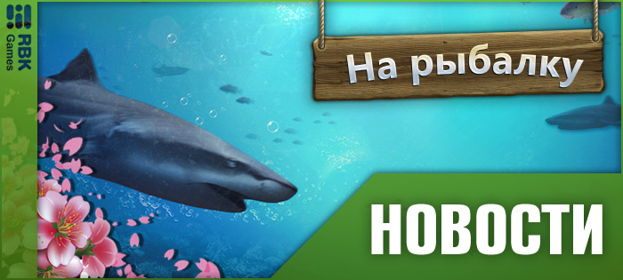 Континентальный чемпионат