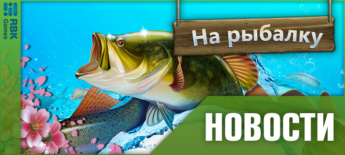 Выиграйте золотой кубок!