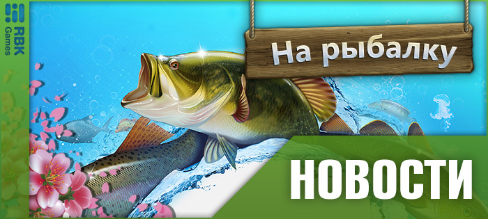 Проверьте своё мастерство!