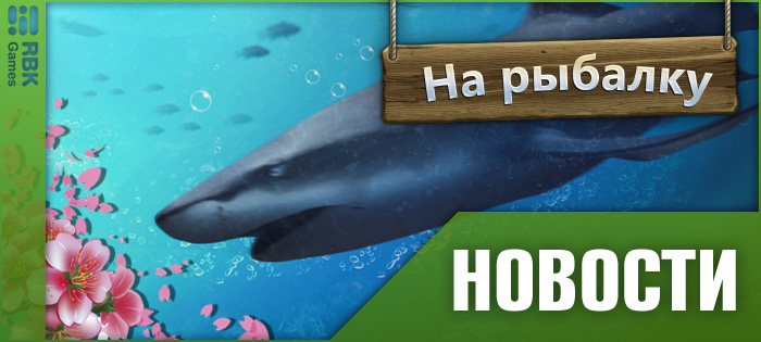 Континентальный чемпионат