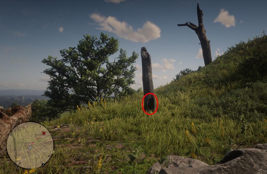 Где найти сокровища в Red Dead Redemption 2