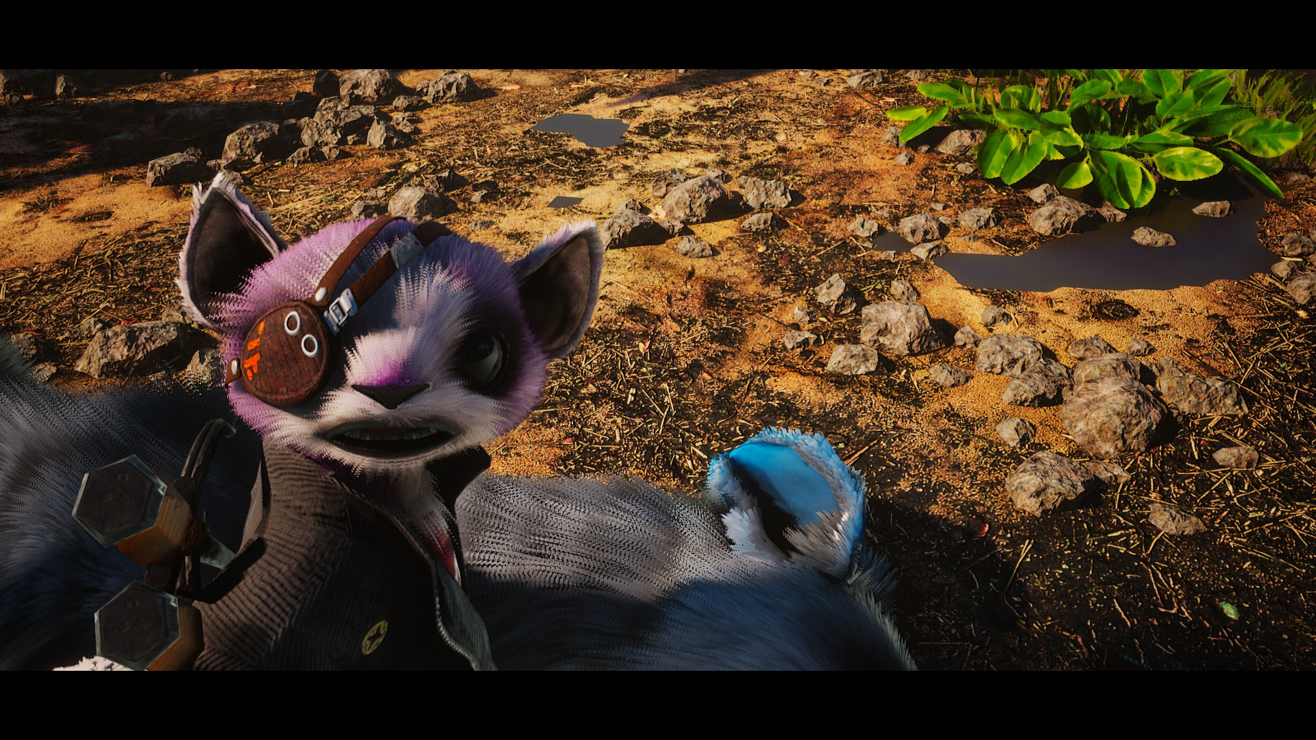 Решение технических проблем в Biomutant Зависание во время загрузки, вылеты и просадки кадров в секунду — узнайте, как решить все технические проблемы в Biomutant.