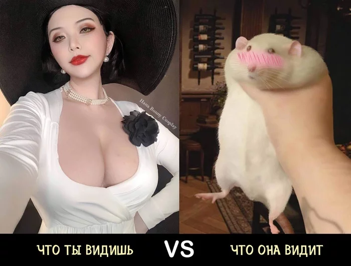 Леди Димитреску из Resident Evil Village — описание, история, отсылки к Дракуле, арты и косплеи