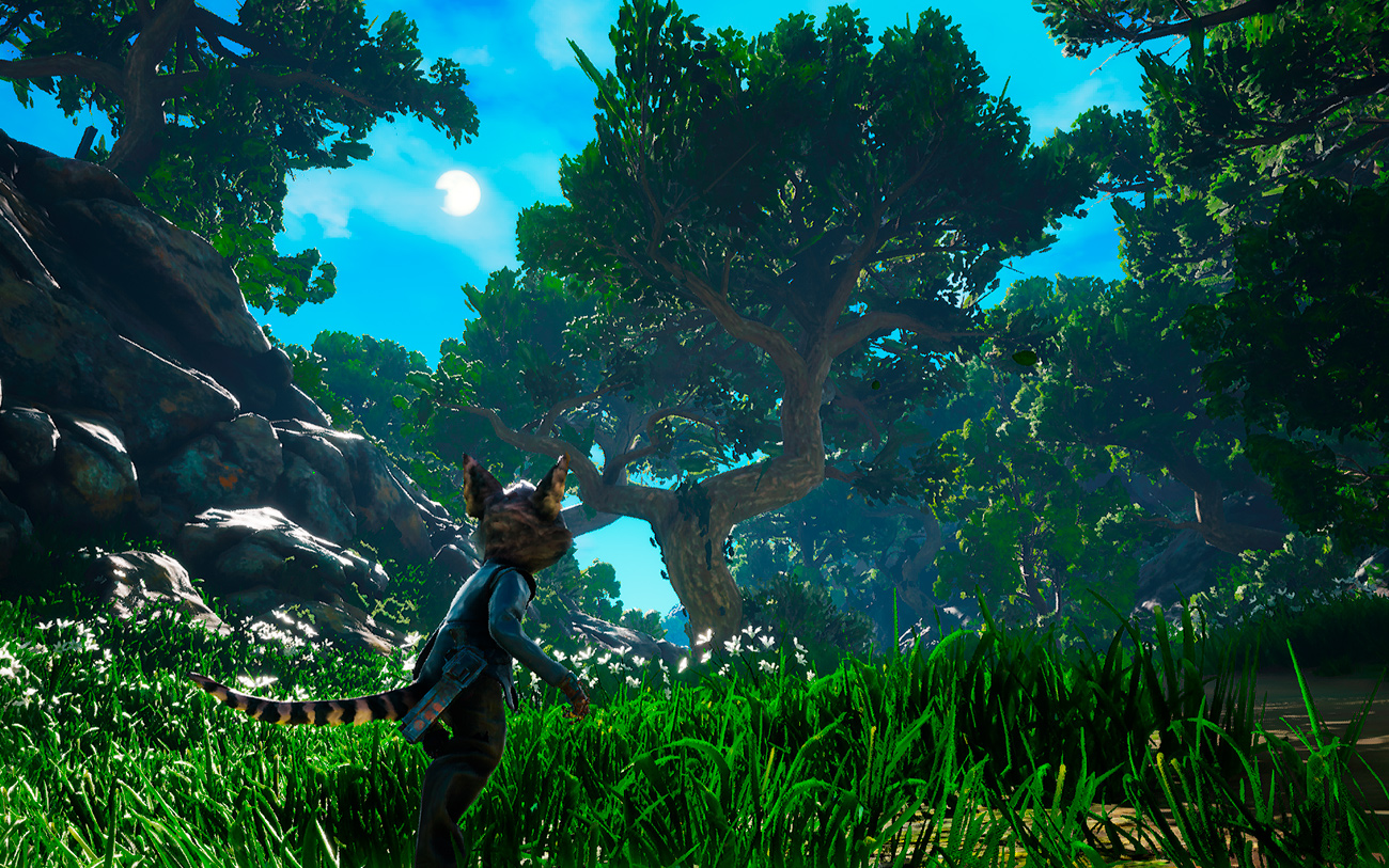 Обзор Biomutant — сюжет, скриншоты и геймплей