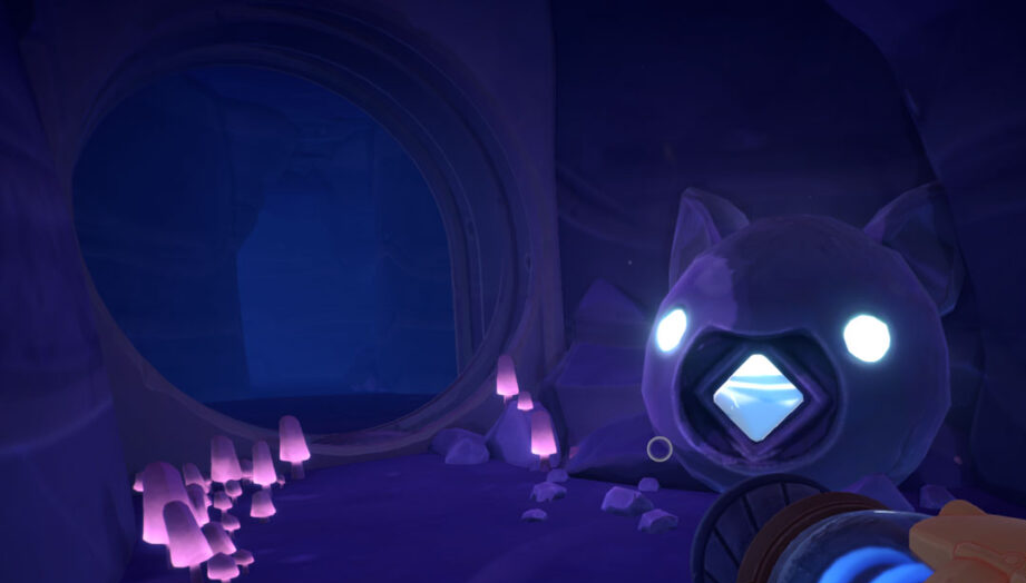 Как открыть двери в Slime Rancher 2