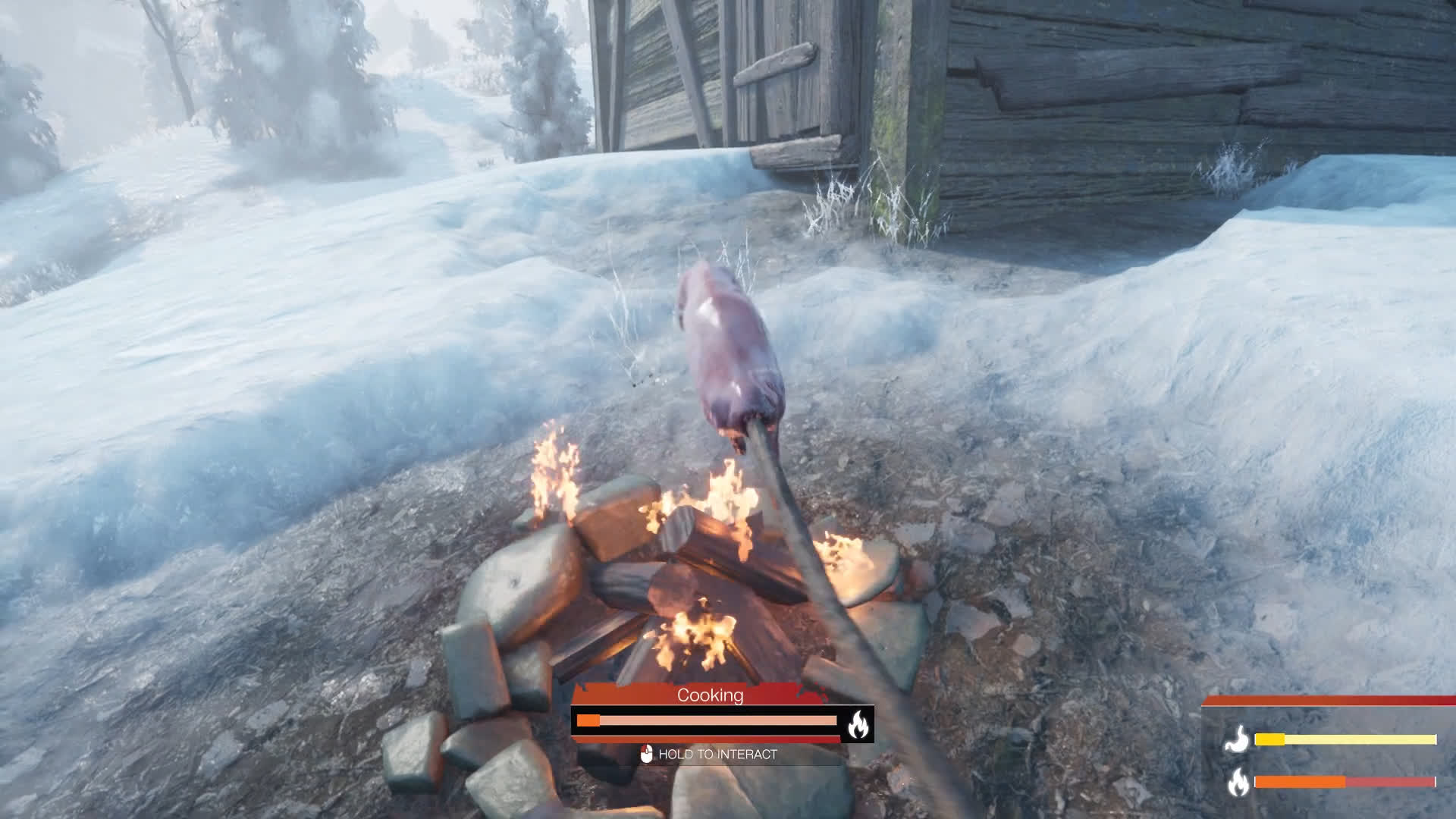 Winter Survival