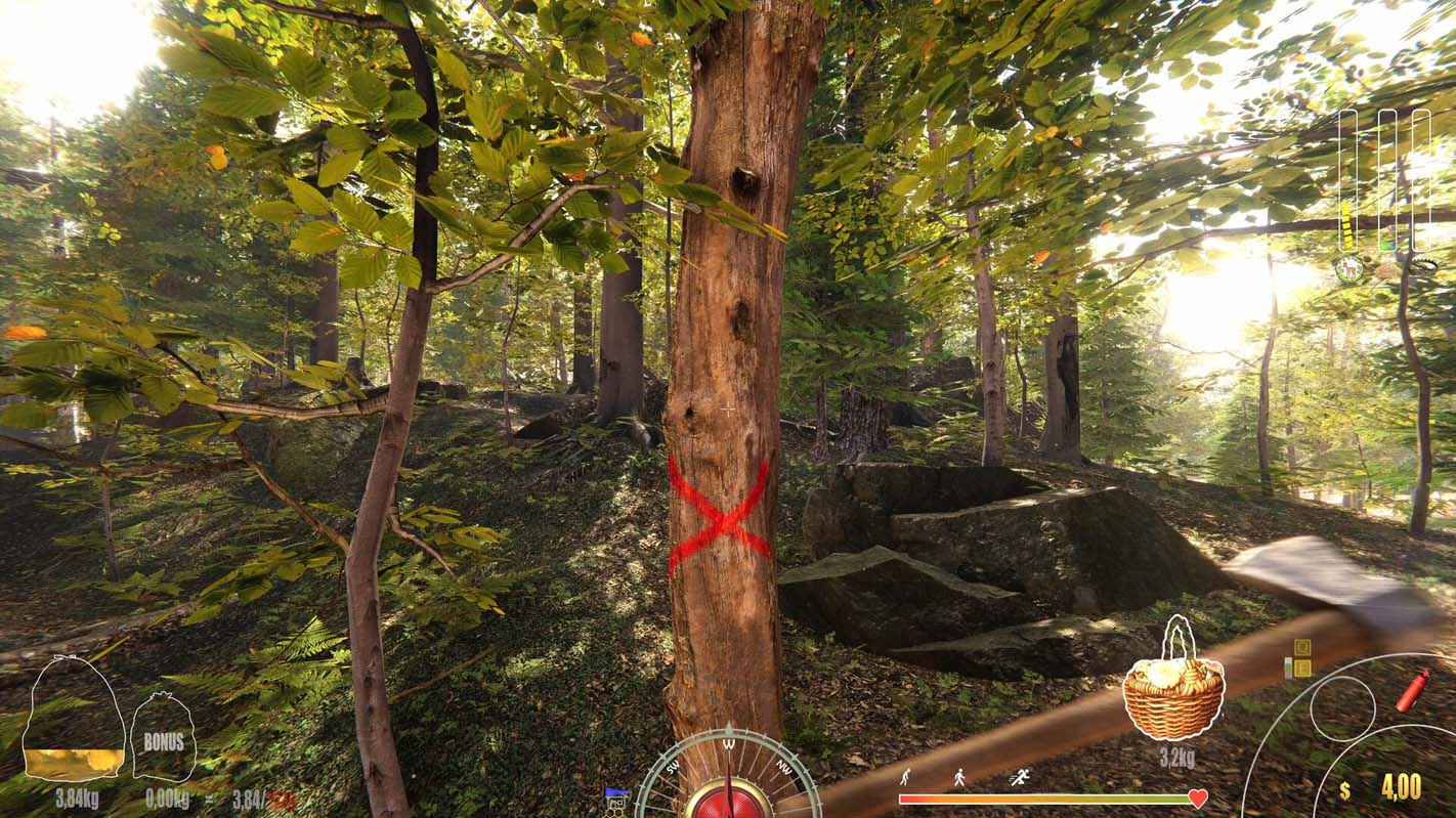 Forest Ranger Simulator – вышел симулятор лесного рейнджера