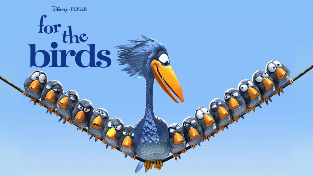 For the Birds