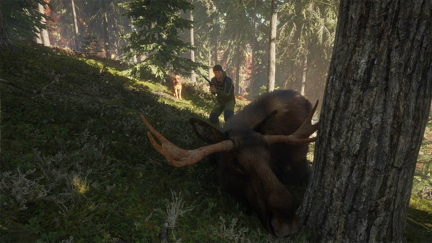 Симулятор охоты theHunter: Call of the Wild раздают в EGS