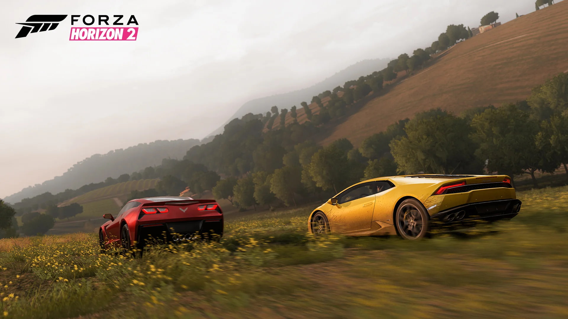 Серверы Forza Horizon и Forza Horizon 2 отключат