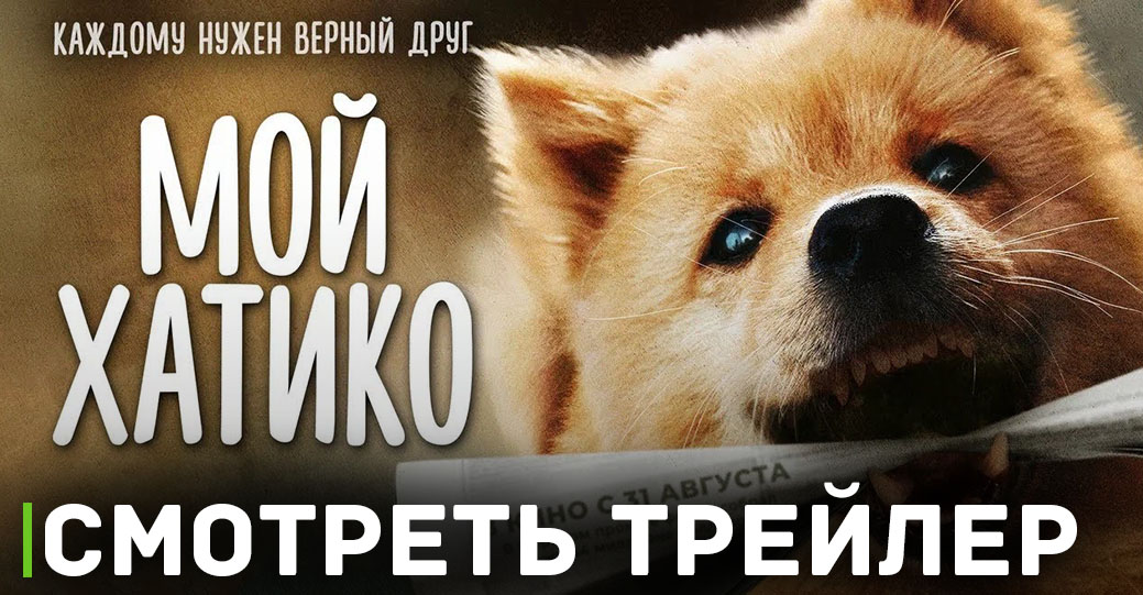Скоро в кинотеатрах покажут фильм «Мой Хатико»