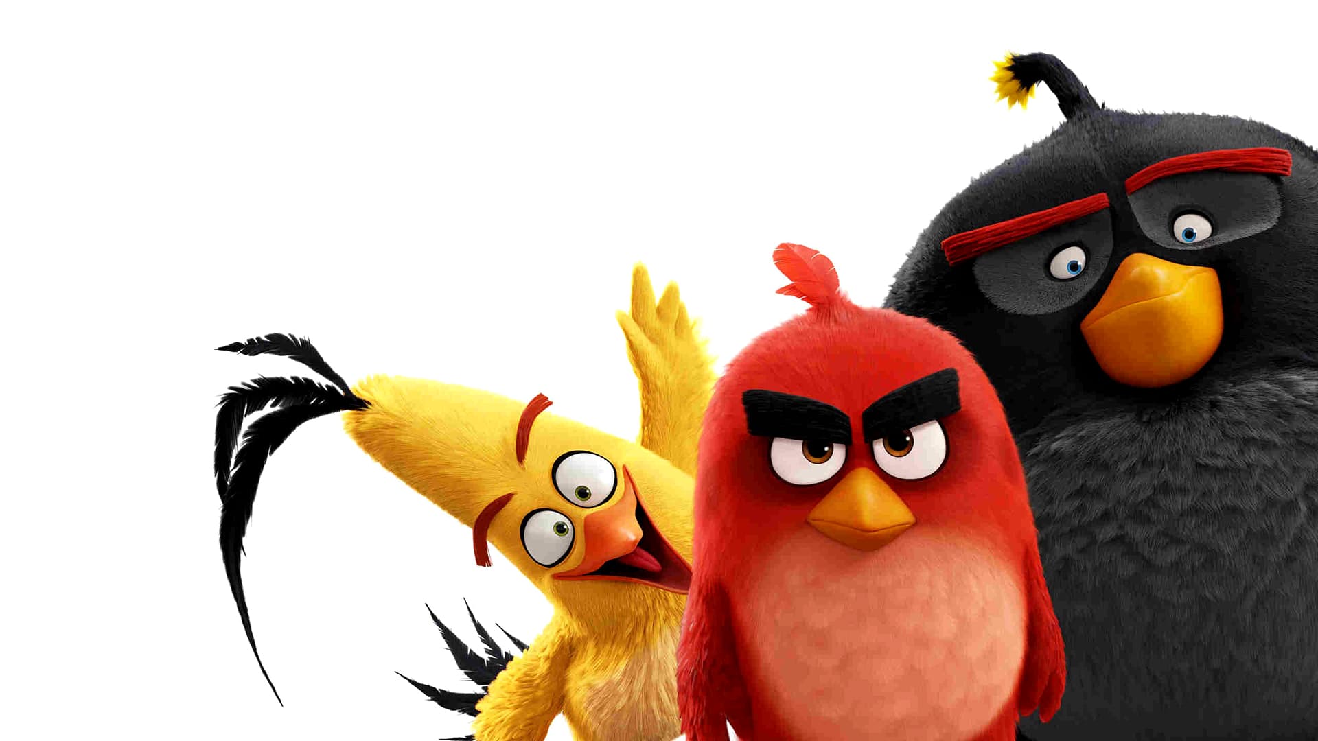 Angry Birds