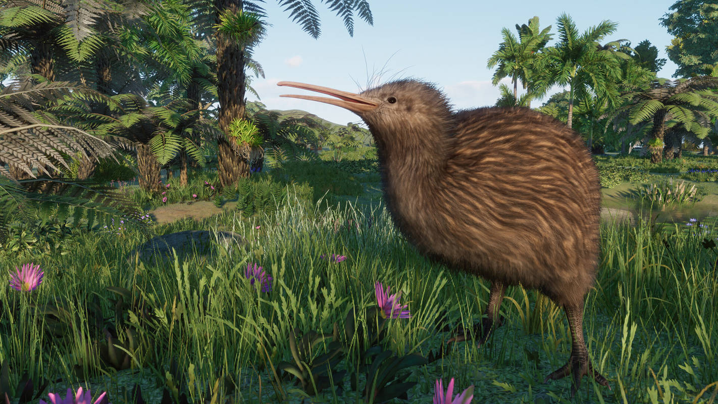 Planet Zoo – для симулятора зоопарка вышел набор «Океания»