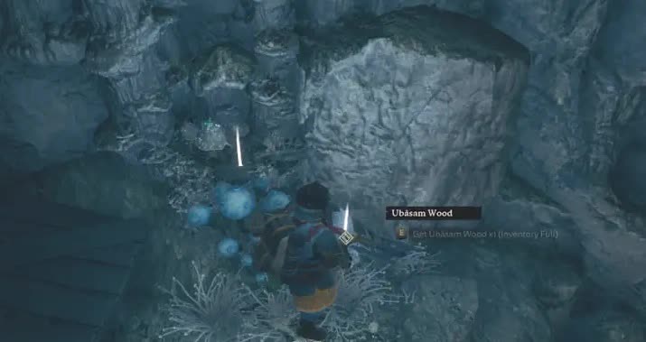 Где найти и как получить древесину Убасам в LotR: Return to Moria