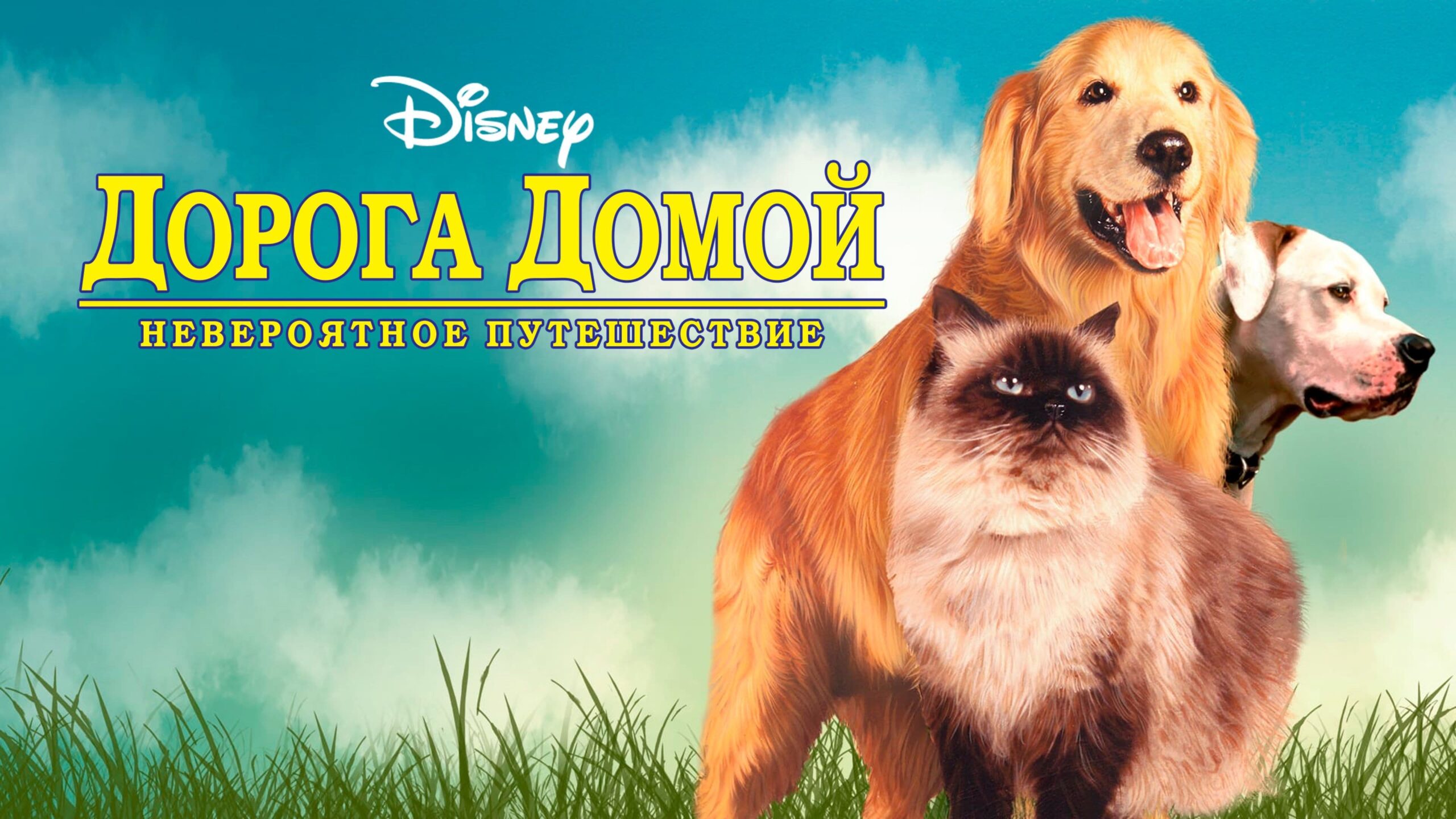Homeward Bound: The Incredible Journey