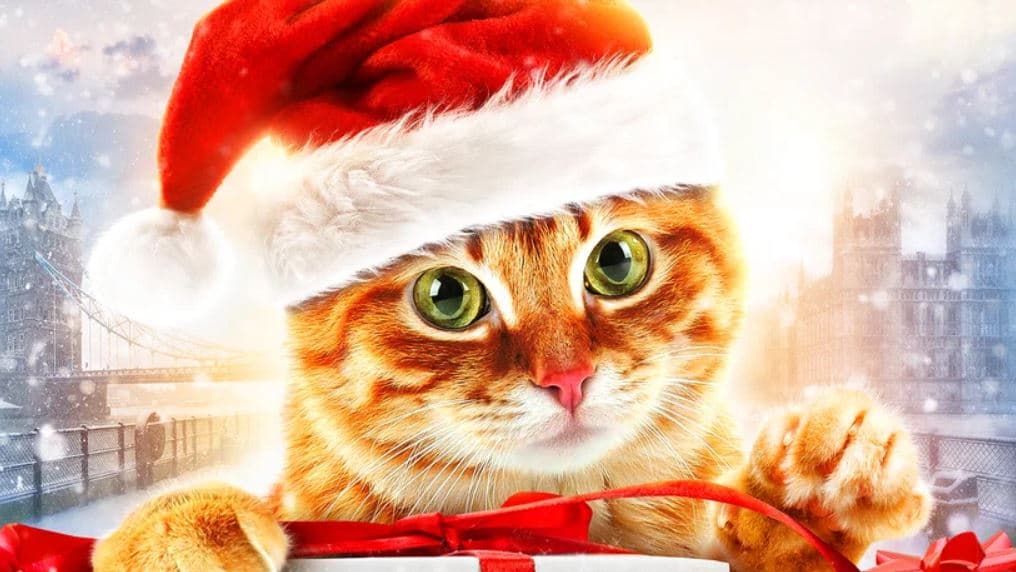 A Christmas Gift from Bob