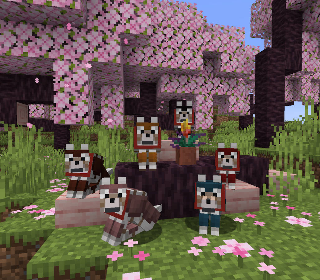 Снапшот 24w09a ввёл в Minecraft покраску для волчьей брони
