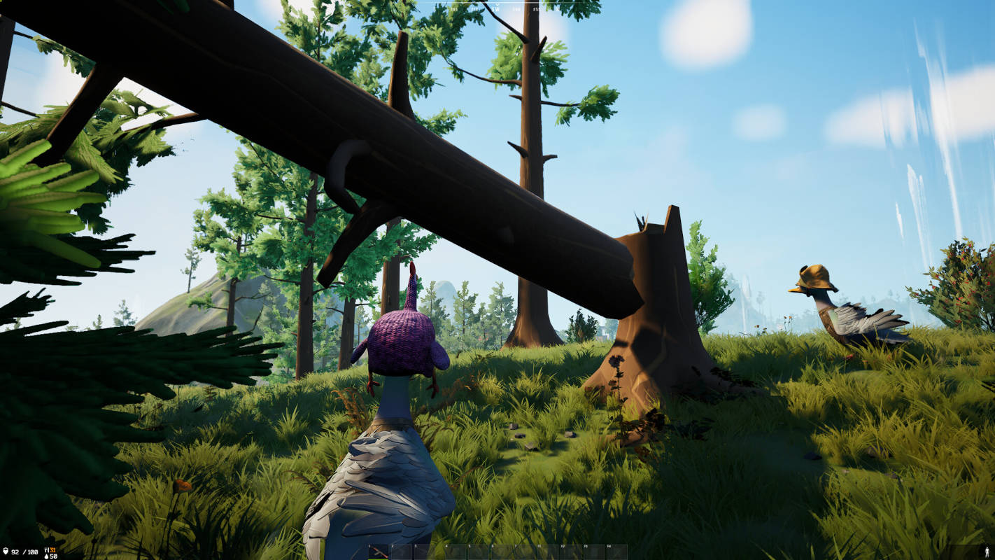 Началось тестирование DUCKSIDE – утиного выживача в духе RUST