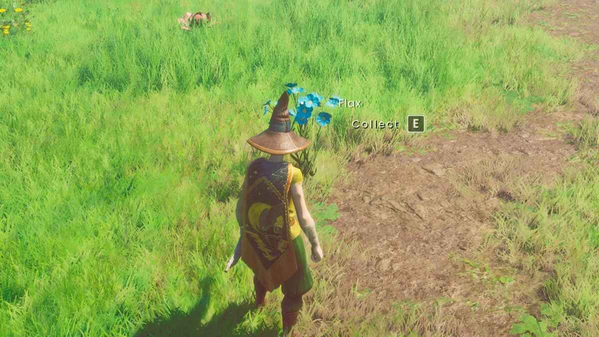 Лук и стрелы в RuneScape: Dragonwilds
