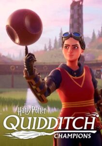 Harry Potter Quidditch Champions