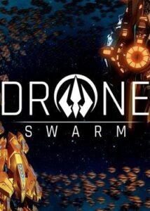 Drone Swarm