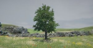 052875d2-9ddd-11ea-ac10-02da6d1ffc43-article-pic_showcase_xl