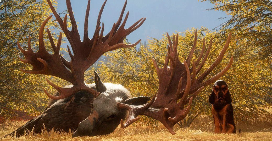 theHunter: Call of the Wild бесплатно раздают в Epic Games Store