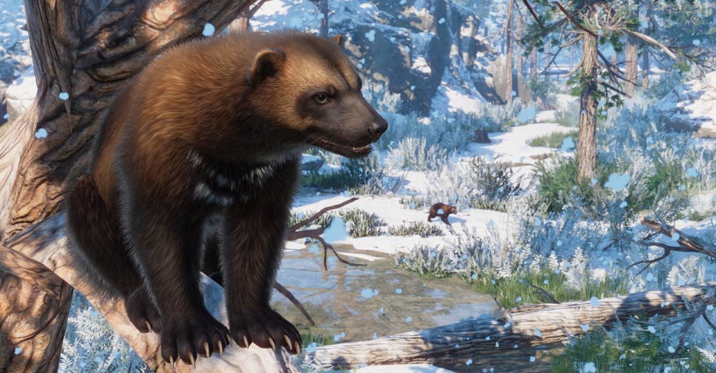 Для симулятора зоопарка Planet Zoo выпустили дополнение «Евразия»