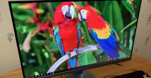 4a4ac8b1-f72e-11e9-9ff6-02da6d1ffc43-review-pic_showcase_xl