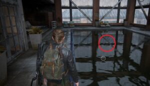 557f6e45-c805-11ea-ac10-02da6d1ffc43-article-pic_showcase_xl