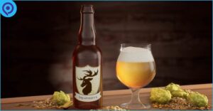 63fd5620-25e6-11ed-97e7-020908c419fc-post-pic_showcase_xl
