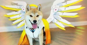 642a5124-f4a9-11e8-82e9-02da6d1ffc43-article-pic_showcase_xl