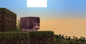 89d9648b-9a49-11ee-b322-005056891452-post-pic_showcase_xl