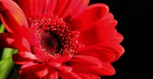 8b91c8cb-c437-11ee-b322-005056891452-article-pic_showcase_xl