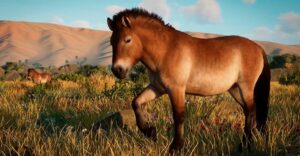Вышел набор «Сохранение дикой природы» для игры Planet Zoo