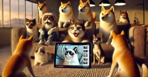 af8fb704-8f04-11ef-b322-005056891452-article-pic_showcase_xl
