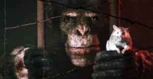 Хоррор про шимпанзе ANIMAL USE PROTOCOL выпустят в 2026 году