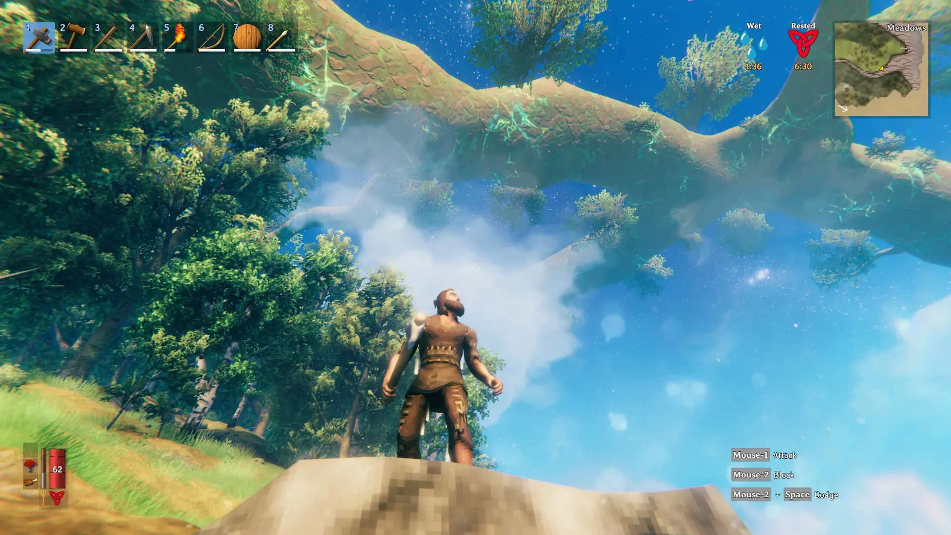 Персонаж в игре Valheim стоит на скале и смотрит на гигантское дерево в биоме Луга